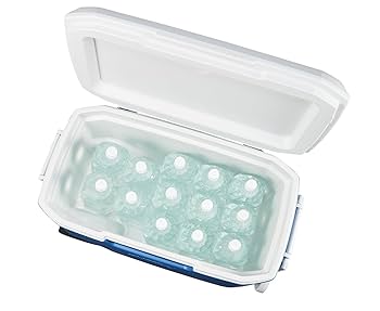 Amazon | Coleman(コールマン) クーラーボックス エクストリーム